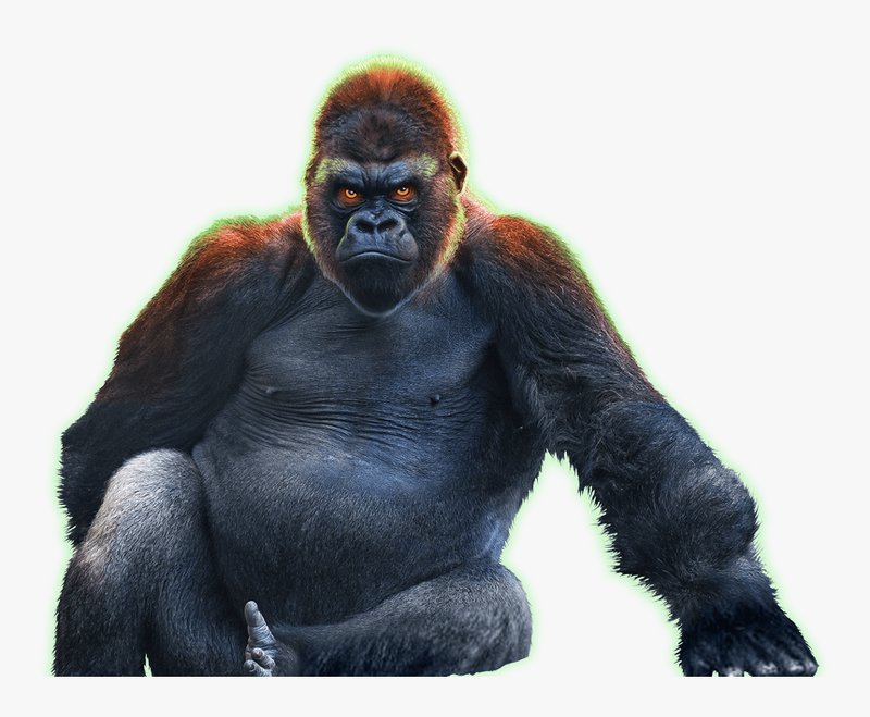 Play epic ape free - Les secrets des joueurs expérimentés sur Epic Ape